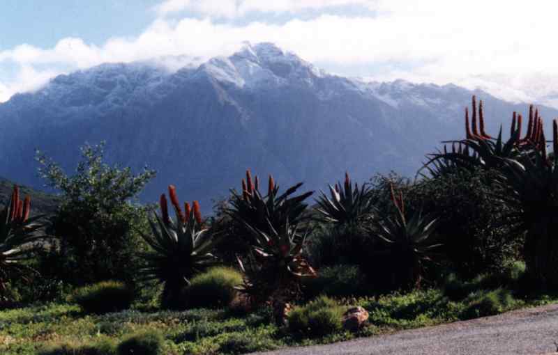 moutains.jpg
